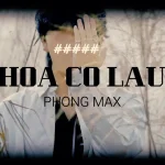 Hoa Cỏ Lau - Phong Max (Lời bài hát)